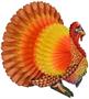 Tissue Turkey Centerpiece