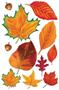 Fall Leaf Cutouts