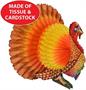 Tissue Turkey Centerpiece