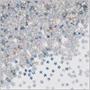 Silver Holographic Stars Confetti