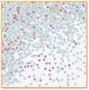 Iridescent Stars Confetti