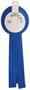 "1st" Place Deluxe Rosette