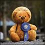 My "5th" Birthday Rosette
