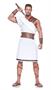 Greek Roman Warrior Costume Adult