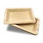 Dtocs Palm Leaf Compostable Plates 5x8 inch Rectangle