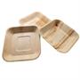 Dtocs Compostable 7 inch Square Palm Leaf Plates