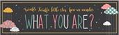 Twinkle Twinkle How We Wonder What You Are Voting Game Banner-18" x 61