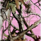 Pink Camo Luncheon Napkins 