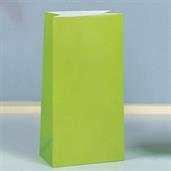 Kiwi Paper Favor Bags (12)