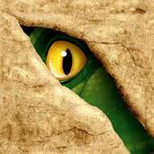 Dinosaur Adventure Beverage Napkins