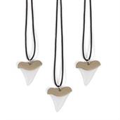 Plastic Shark Tooth Necklace (12)
