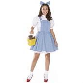 The Wizard of Oz Dorothy Teen Costume