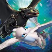 How To Train Your Dragon 3 Lunch Napkin (16)