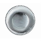 Silver 9" Paper Plates (10)