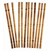 Luau-Bamboo Printed Straws