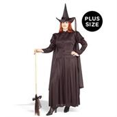 Classic Witch Adult Plus Costume