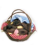 Basket with Wolf's Head