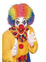 Rainbow Economy Clown Wig