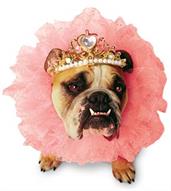 Zelda Wisdom - Queen Dog Costume