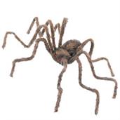 50" Brown Spider