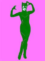 Batman DC Comics Catwoman Adult Costume