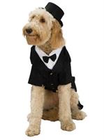 Dapper Dog Costume