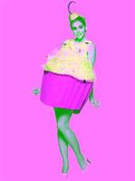Sweet Eats Cupcake Adult Costume