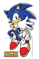 Sonic the Hedgehog Standup 66" x 42"