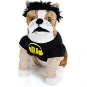 DJ Master Pet Costume