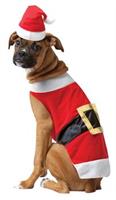 Santa Pet Costume