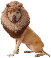 Lion Pet Costume