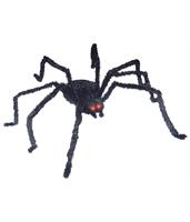 Long Hair Black Spider with Light Up Eyes