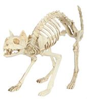 Skeleton Cat with Crazy look and Bendable Tail Bones