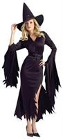 Gothic Witch Adult Costume