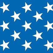 Patriotic Stars Backdrop