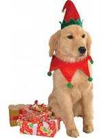 Elf Hat and Collar Pet Costume S/M