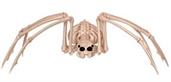 15" Skeleton Spider