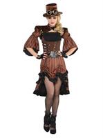 Dream Steamy Adult Costume