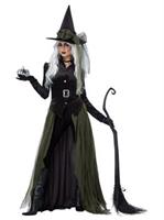Gothic Witch Women's Costume
