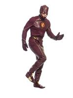 Mens Flash Costume