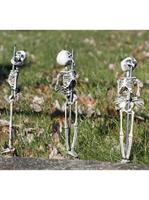 Staked Skeletons - Set Of 3
