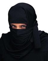 Adult Ninja Headpiece