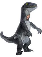 Inflatable Costumes