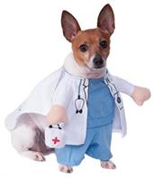 Walking Vet Pet Costume