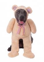 Big Dog'S Walking Teddy Bear Pet Costume