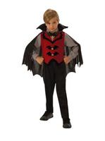Boys Vampire Boy Costume