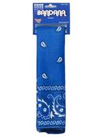 Blue Bandana