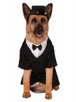 Big Dogs' Dapper Dog Pet Costume
