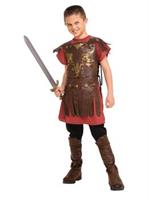 Gladiator Costume