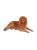 Deluxe Lion's Mane for Pets